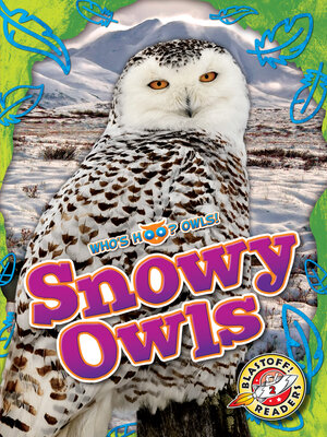 cover image of Snowy Owls